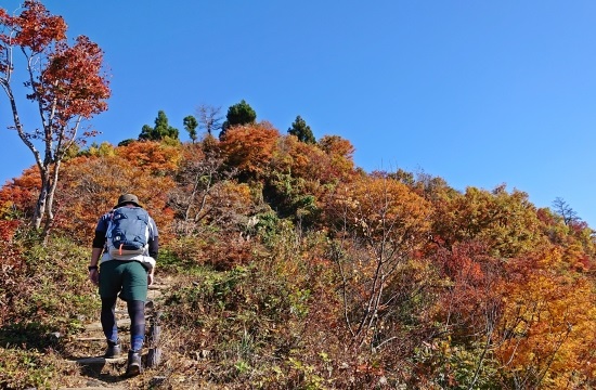 日帰り登山バックパック