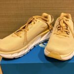 HOKA(ホカ)ELEVON2(エレボン2)のレビュー!有名ランナーが200km大会で履いたシューズ